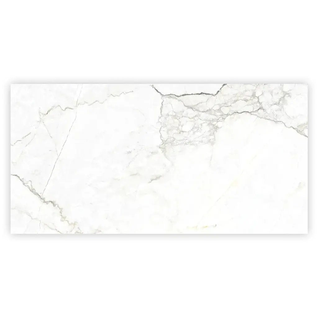 Pearl White with Gray Vein 24x48 Matte Porcelain Large Format Tile (2 pack, 15.5 sq ft/case) by Apollo Tile