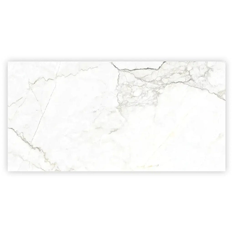 Pearl White with Gray Vein 24x48 Matte Porcelain Large Format Tile (2 pack, 15.5 sq ft/case) by Apollo Tile