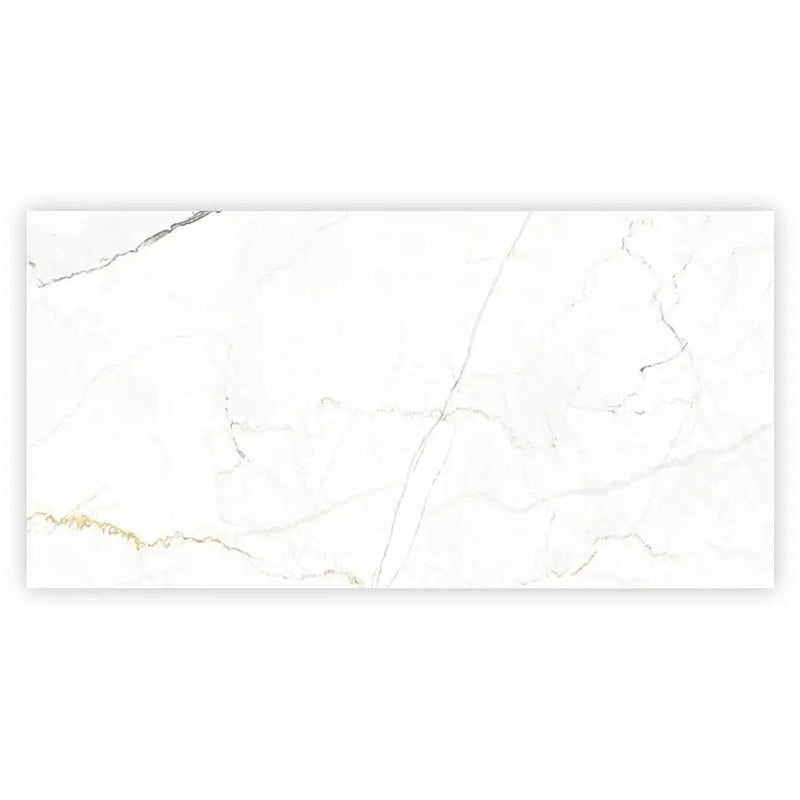 Pearl White with Gray Vein 24x48 Matte Porcelain Large Format Tile (2 pack, 15.5 sq ft/case) by Apollo Tile