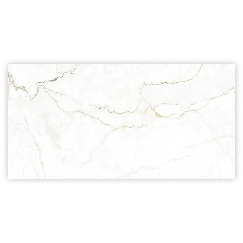 Pearl White with Gray Vein 24x48 Matte Porcelain Large Format Tile (2 pack, 15.5 sq ft/case) by Apollo Tile