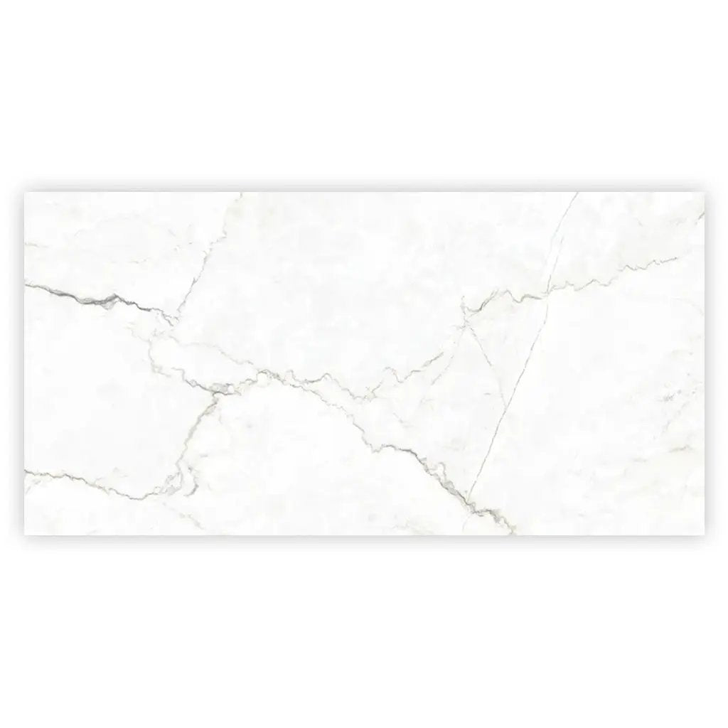 Pearl White with Gray Vein 24x48 Matte Porcelain Large Format Tile (2 pack, 15.5 sq ft/case) by Apollo Tile