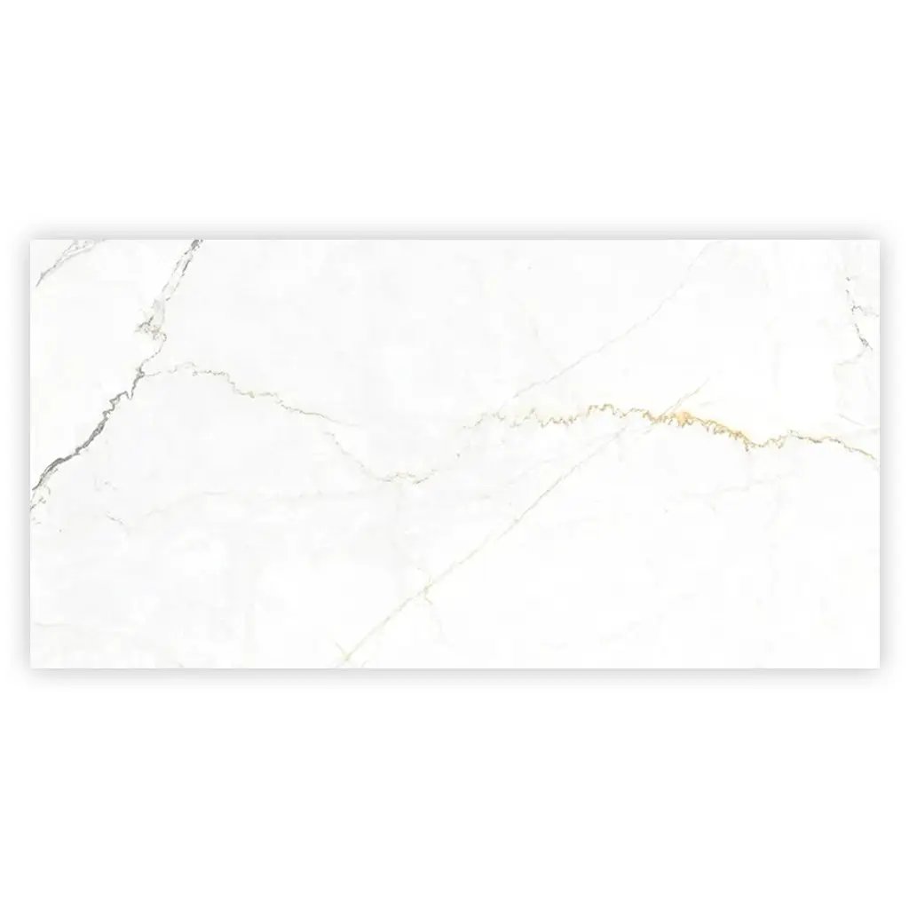 Pearl White with Gray Vein 24x48 Matte Porcelain Large Format Tile (2 pack, 15.5 sq ft/case) by Apollo Tile
