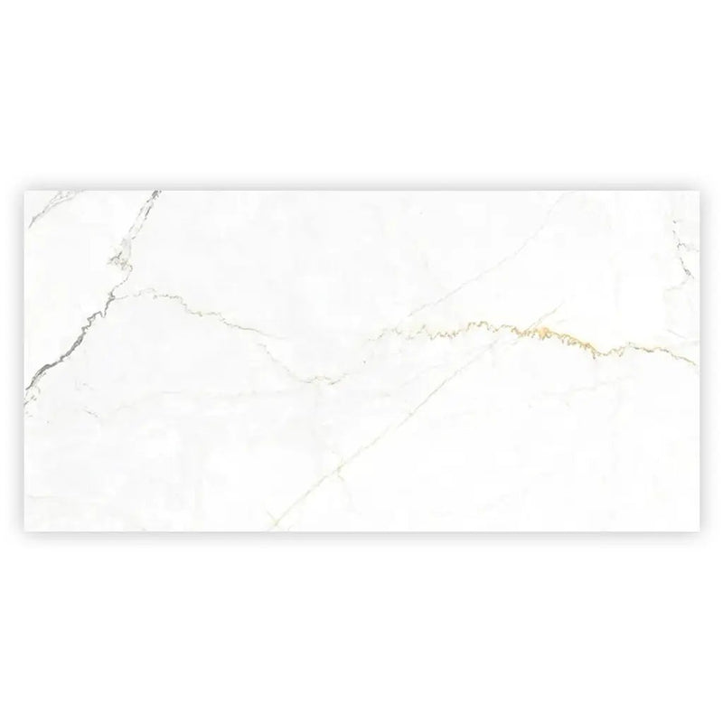 Pearl White with Gray Vein 24x48 Matte Porcelain Large Format Tile (2 pack, 15.5 sq ft/case) by Apollo Tile