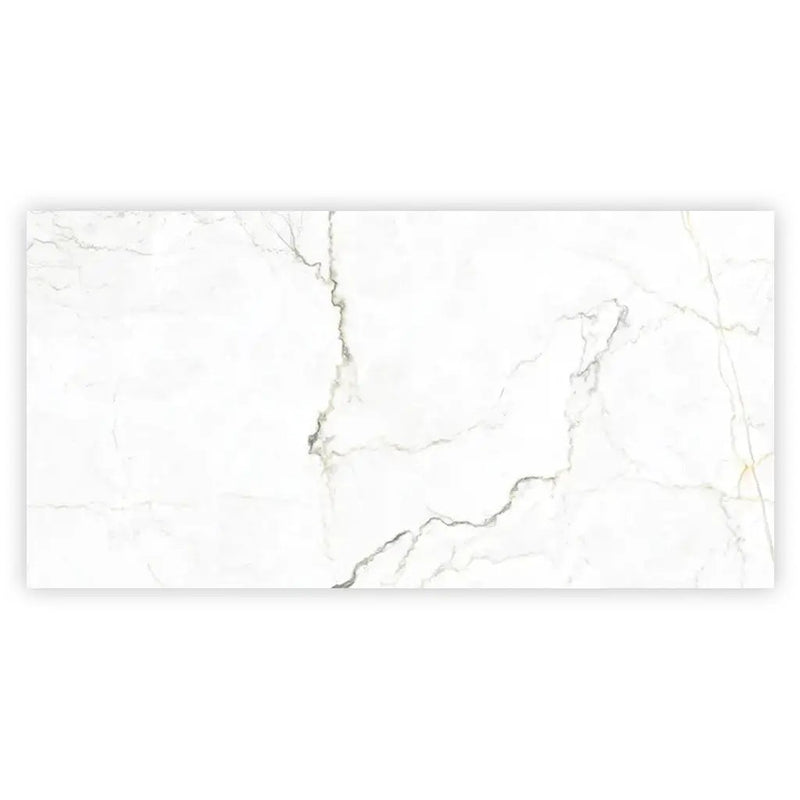 Pearl White with Gray Vein 24x48 Matte Porcelain Large Format Tile (2 pack, 15.5 sq ft/case) by Apollo Tile