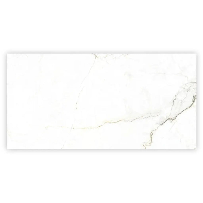 Pearl White with Gray Vein 24x48 Matte Porcelain Large Format Tile (2 pack, 15.5 sq ft/case) by Apollo Tile