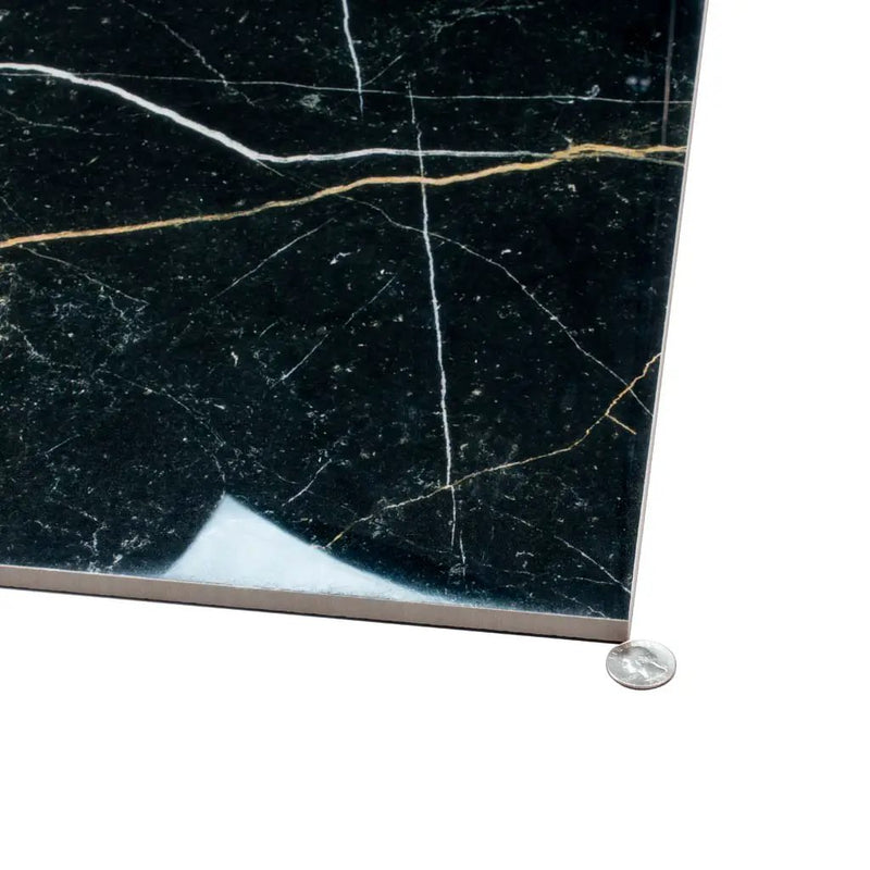Sable Black 24x48 Polished Porcelain Large Format Tile (2 pack, 15.55 sq ft/case) by Apollo Tile
