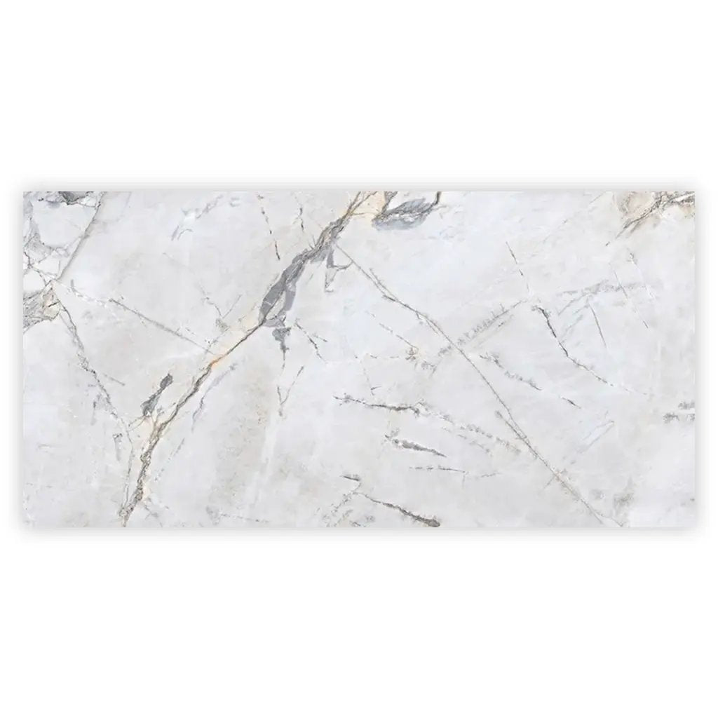 Pale Gray 24x48 Polished Porcelain Large Format Tile (2 pack, 15.5 sq ft/case) by Apollo Tile