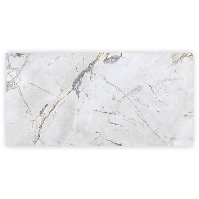 Pale Gray 24x48 Polished Porcelain Large Format Tile (2 pack, 15.5 sq ft/case) by Apollo Tile