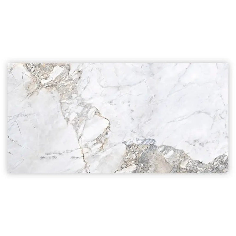 Pale Gray 24x48 Polished Porcelain Large Format Tile (2 pack, 15.5 sq ft/case) by Apollo Tile