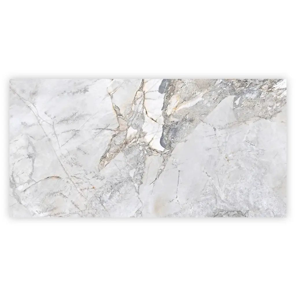 Pale Gray 24x48 Polished Porcelain Large Format Tile (2 pack, 15.5 sq ft/case) by Apollo Tile