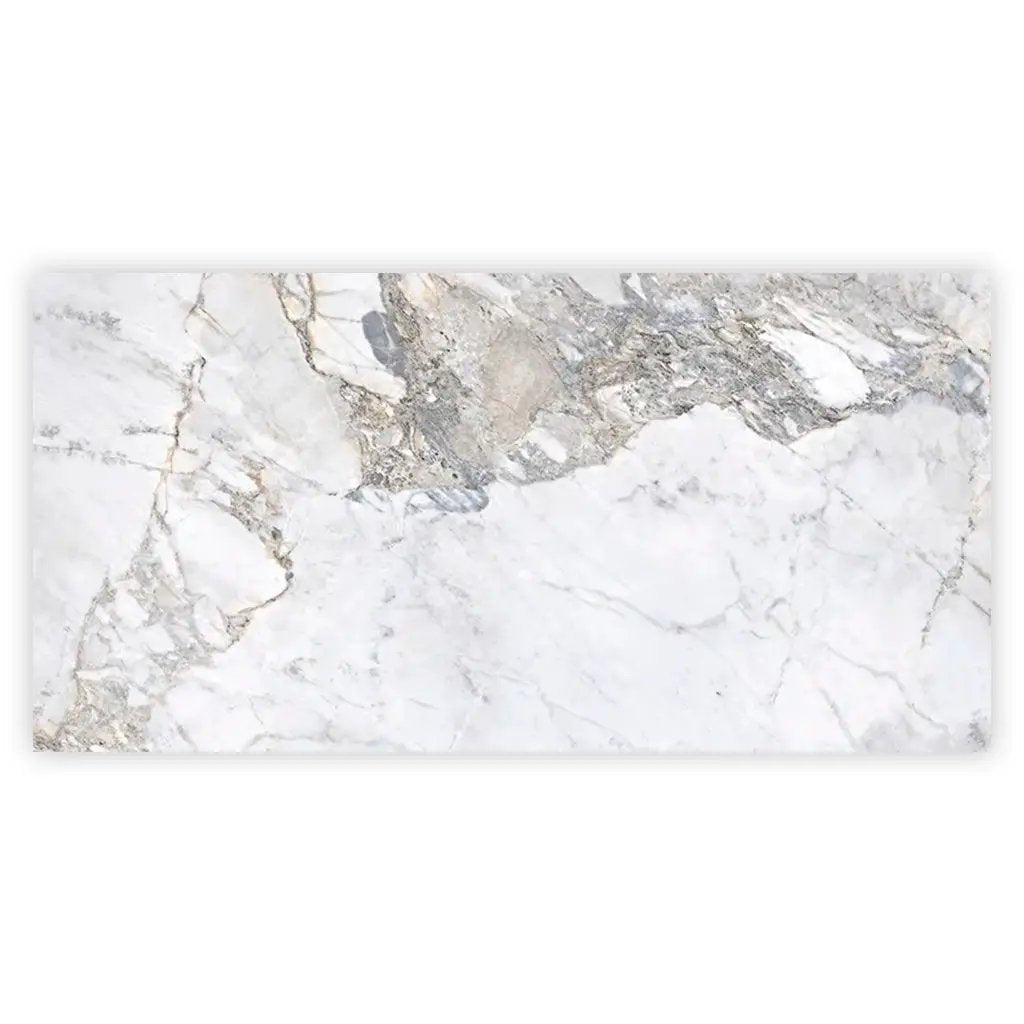 Pale Gray 24x48 Polished Porcelain Large Format Tile (2 pack, 15.5 sq ft/case) by Apollo Tile