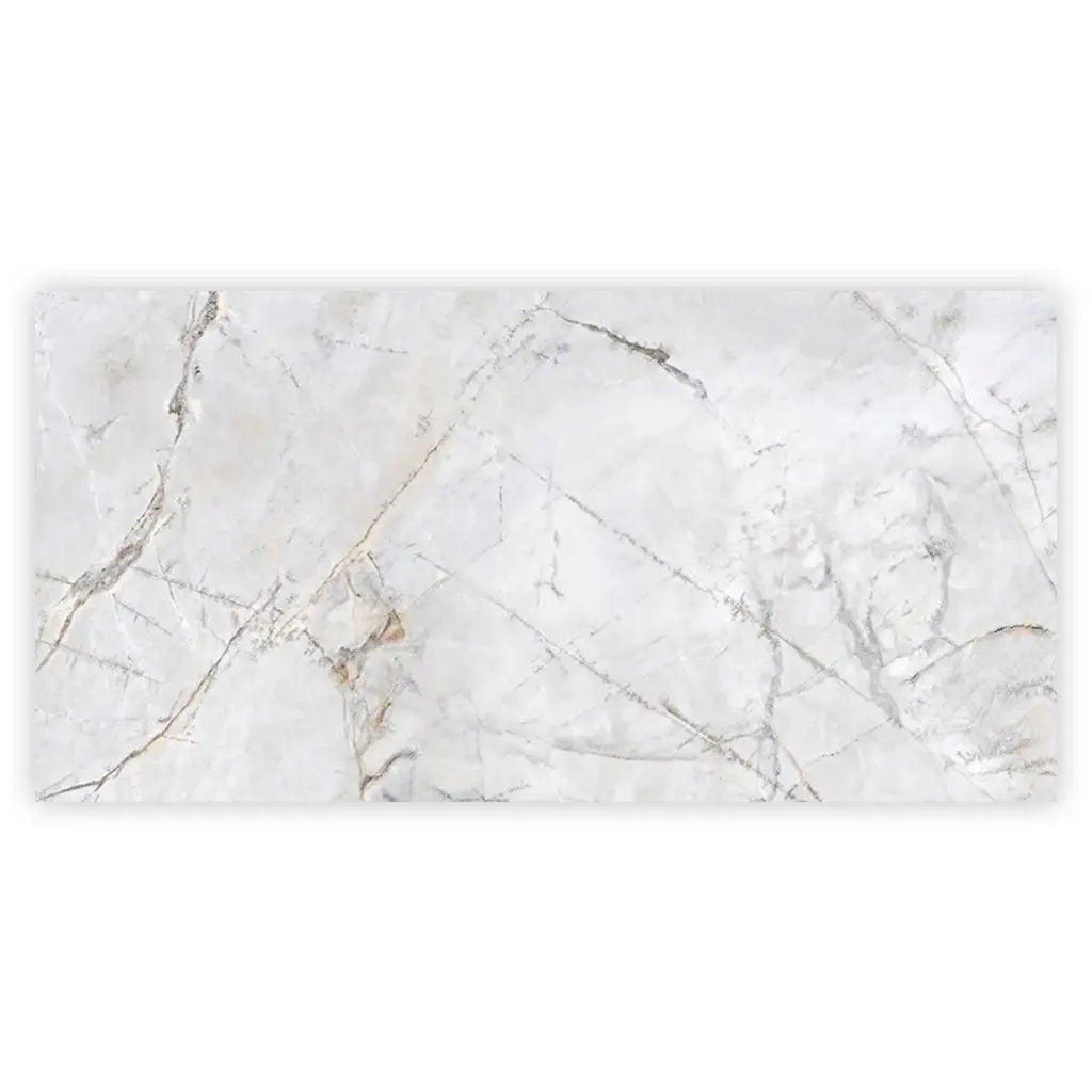 Pale Gray 24x48 Polished Porcelain Large Format Tile (2 pack, 15.5 sq ft/case) by Apollo Tile
