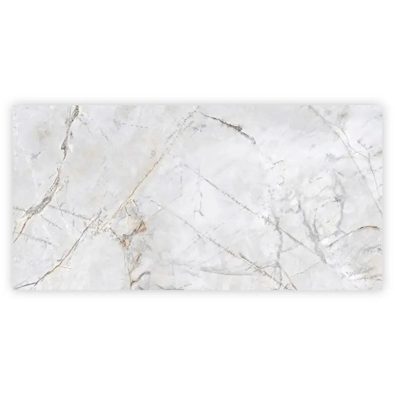 Pale Gray 24x48 Polished Porcelain Large Format Tile (2 pack, 15.5 sq ft/case) by Apollo Tile