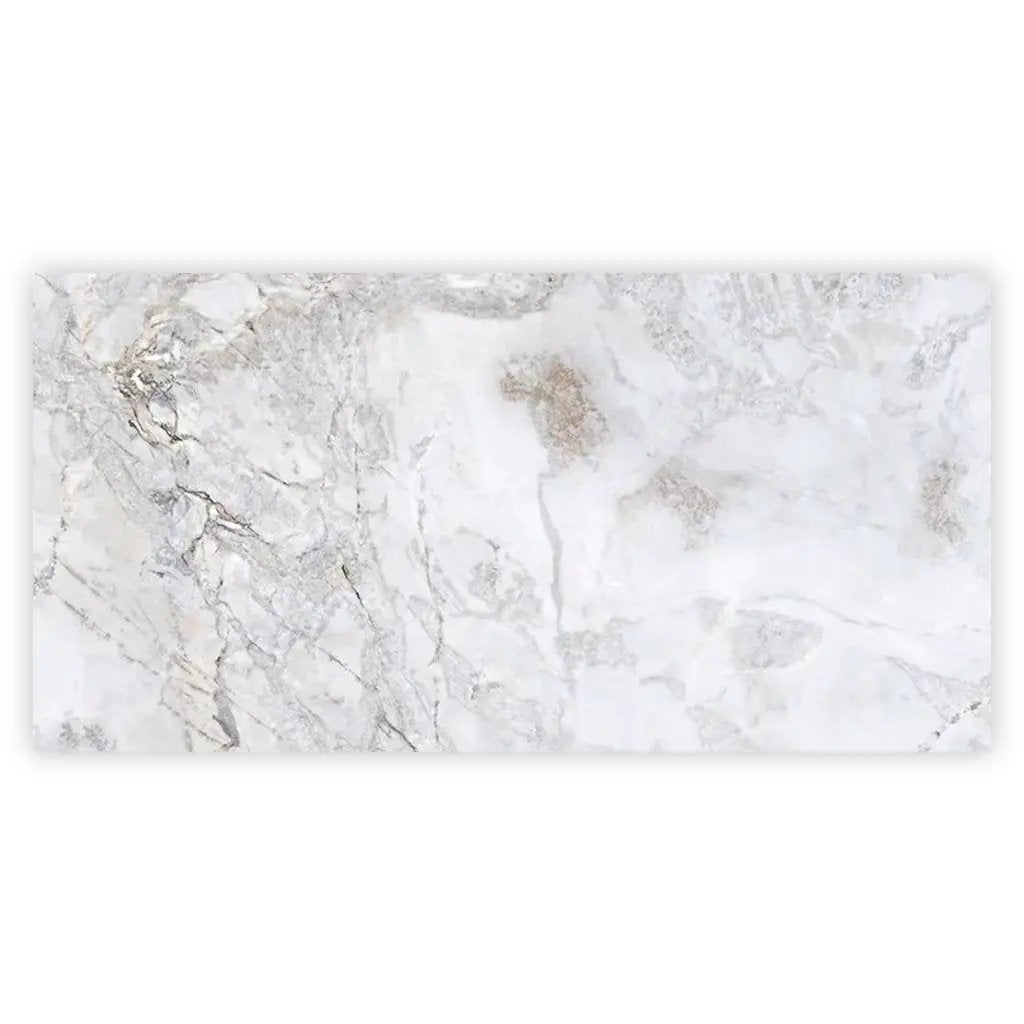 Pale Gray 24x48 Polished Porcelain Large Format Tile (2 pack, 15.5 sq ft/case) by Apollo Tile