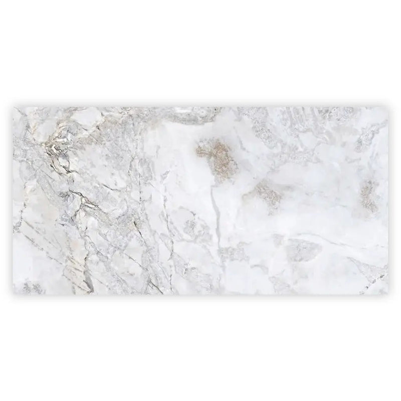 Pale Gray 24x48 Polished Porcelain Large Format Tile (2 pack, 15.5 sq ft/case) by Apollo Tile