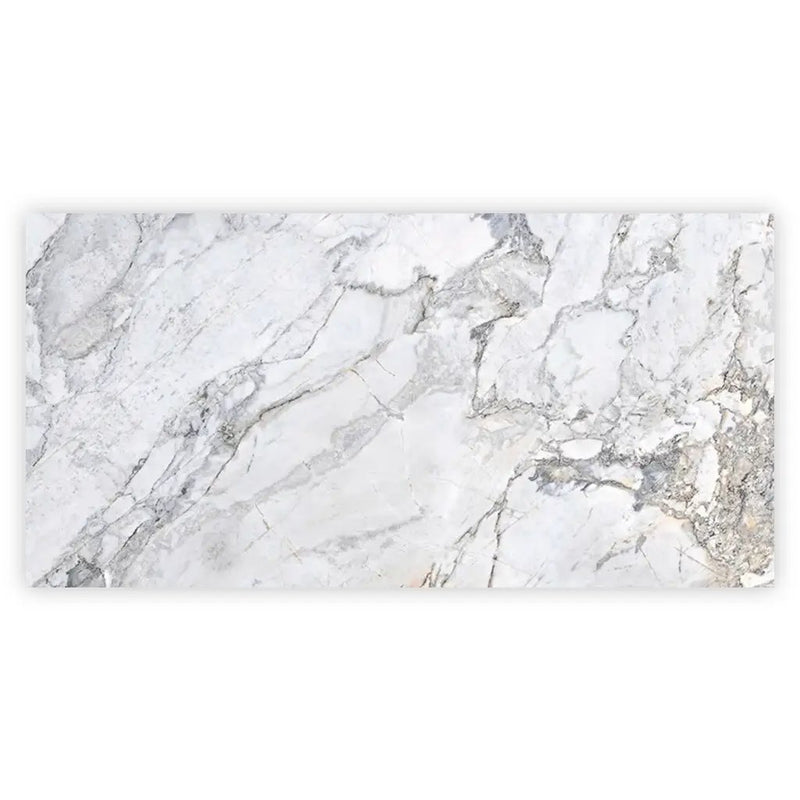 Pale Gray 24x48 Polished Porcelain Large Format Tile (2 pack, 15.5 sq ft/case) by Apollo Tile