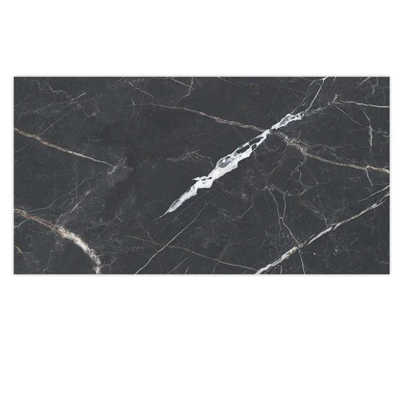 Charcoal Black 24x48 Porcelain Matte Large Format Tile (2 pack, 15.5 sq ft/case) by Apollo Tile