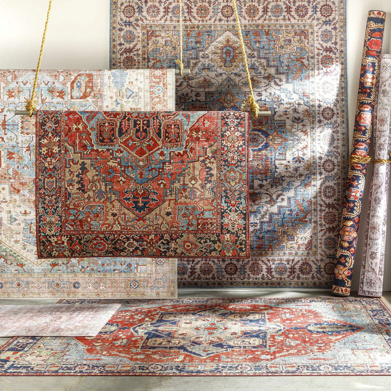 Kapaa Traditional Area Rug by Boutique Rugs
