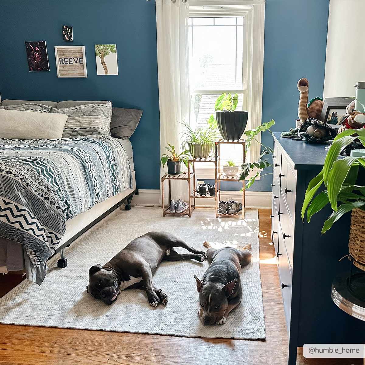 Isako Gray Solid Washable Area Rug - Clearance by Boutique Rugs