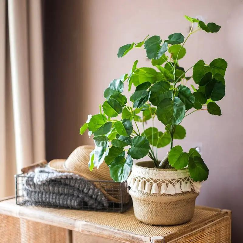 Silk Artificial Apple Banyan Leaf Tree In Pot by RusticReach