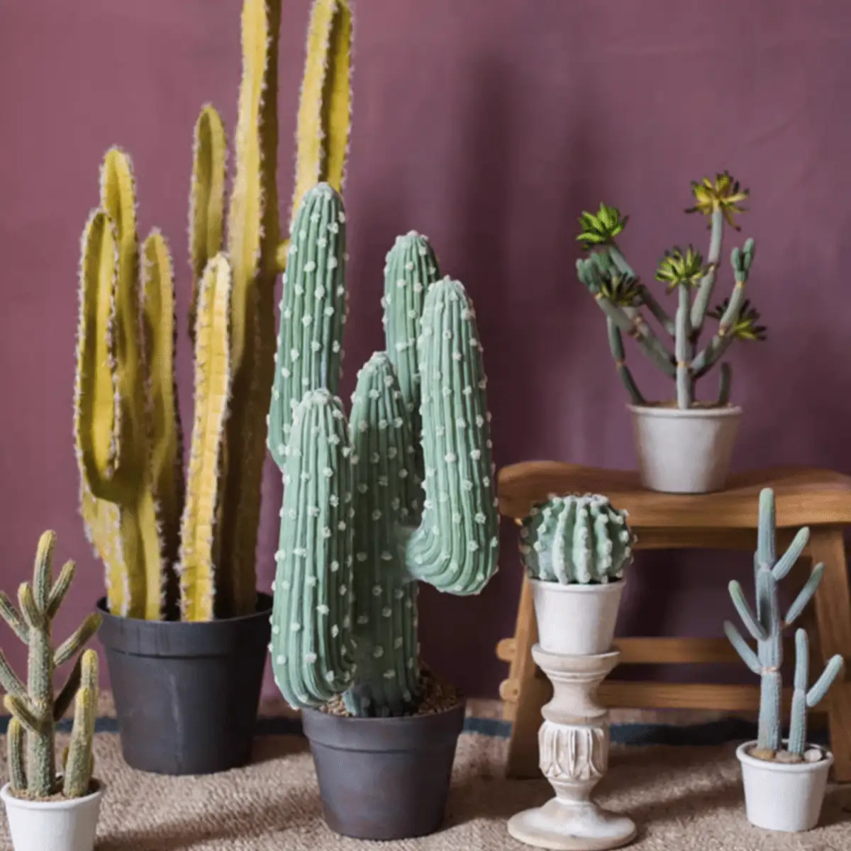 Artificial Cactus in Pot Various Styles by RusticReach