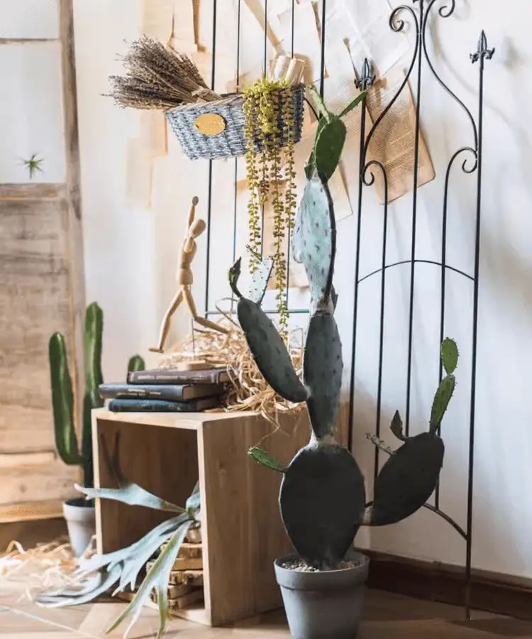 Artificial Cactus in Pot Various Styles by RusticReach