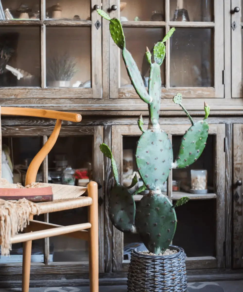 Artificial Cactus in Pot Various Styles by RusticReach
