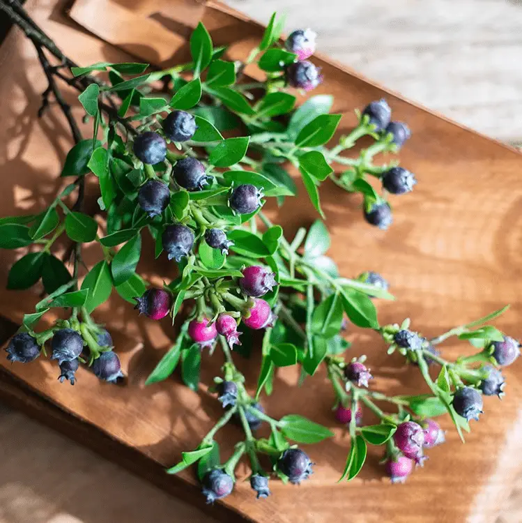 Artificial Fruit Alpine Blueberry Stem 22.4" Tall Silk Plant by RusticReach