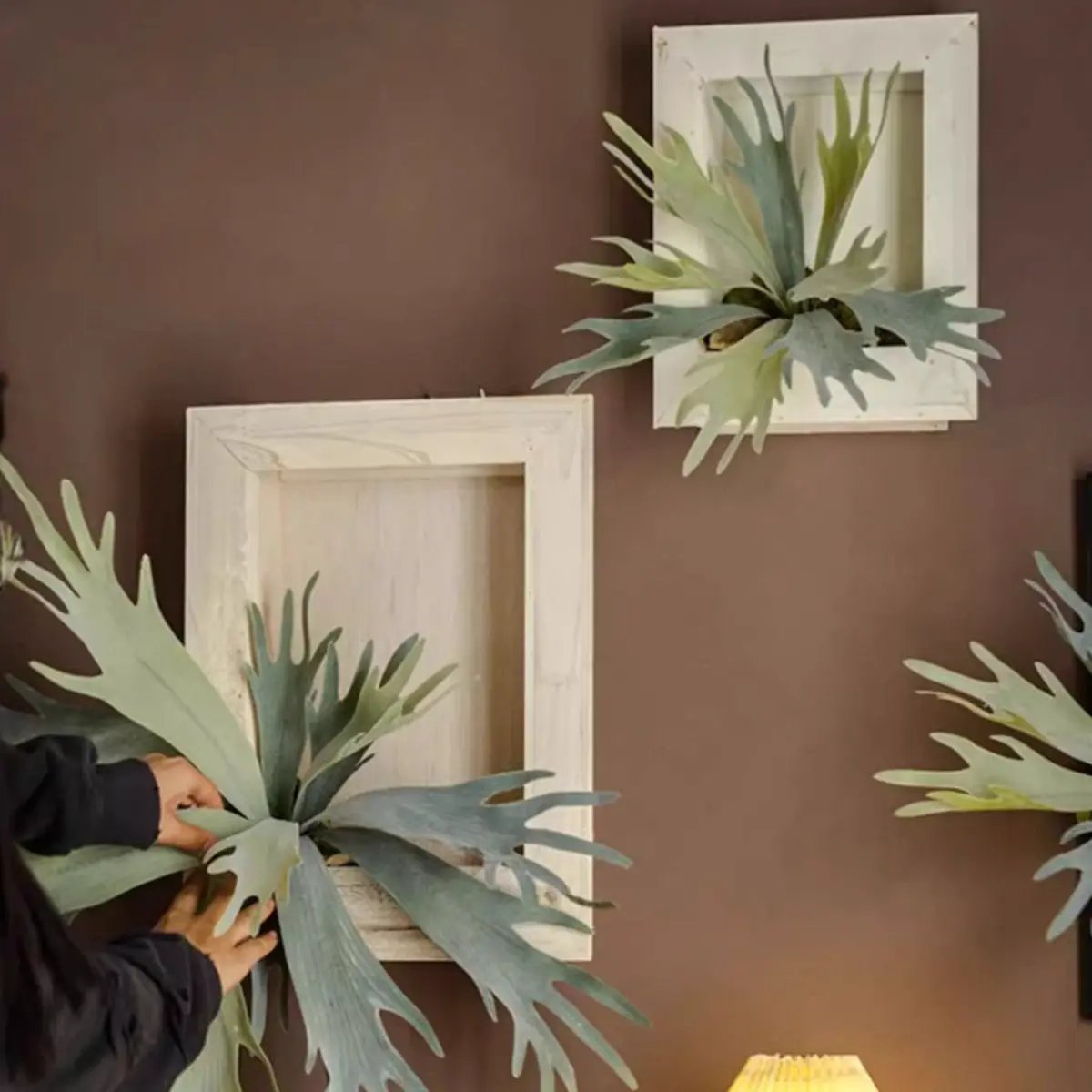 Artificial Antler Fern with Wooden Frame by RusticReach