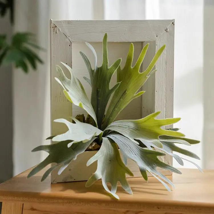Artificial Antler Fern with Wooden Frame by RusticReach