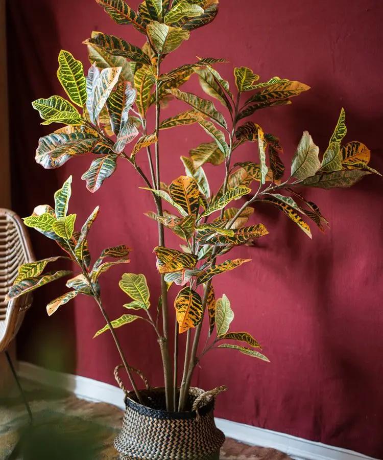 Large Leaf Artificial Croton Tree In Pot by RusticReach