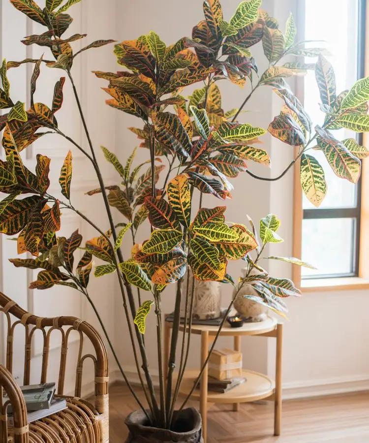 Large Leaf Artificial Croton Tree In Pot by RusticReach