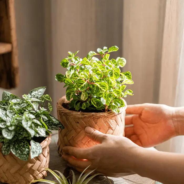 Bamboo Looking Cement Planter by RusticReach