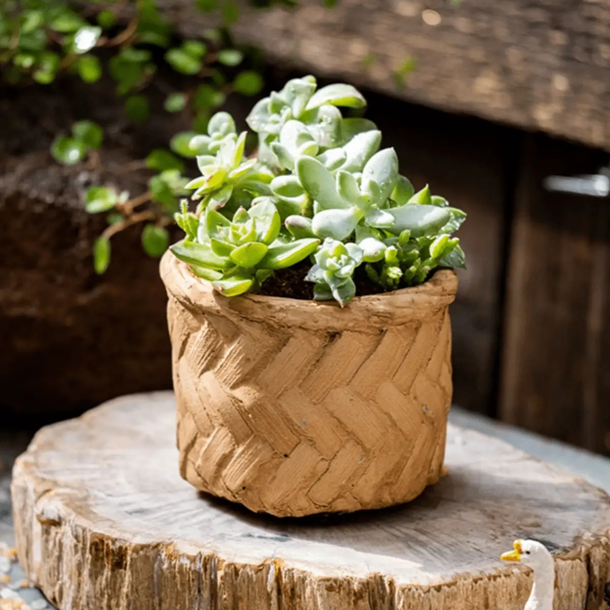 Bamboo Looking Cement Planter by RusticReach
