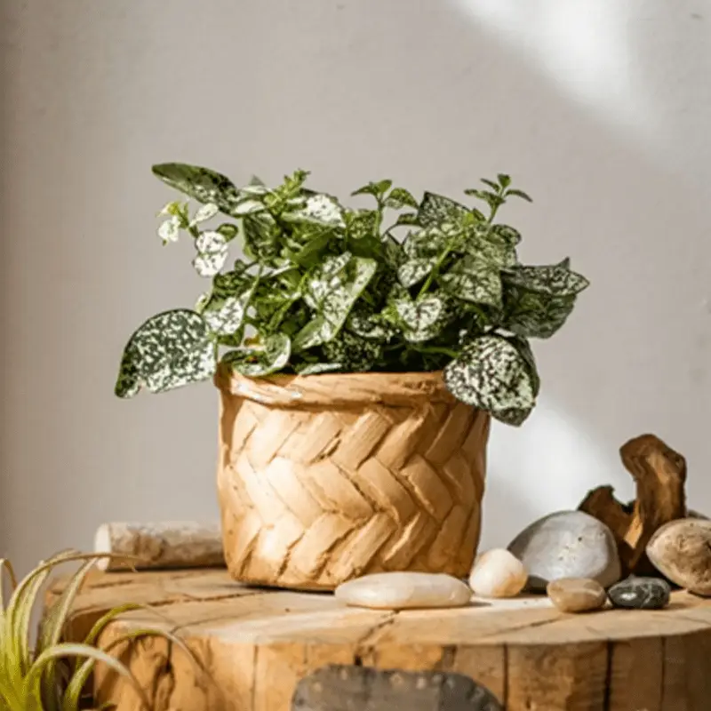 Bamboo Looking Cement Planter by RusticReach