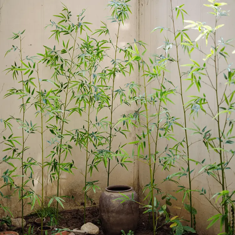 Artificial Bamboo Stem Faux Screen Plant Set of 10 by RusticReach