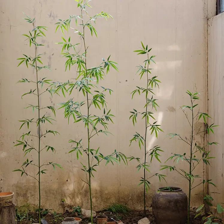 Artificial Bamboo Stem Faux Screen Plant Set of 10 by RusticReach