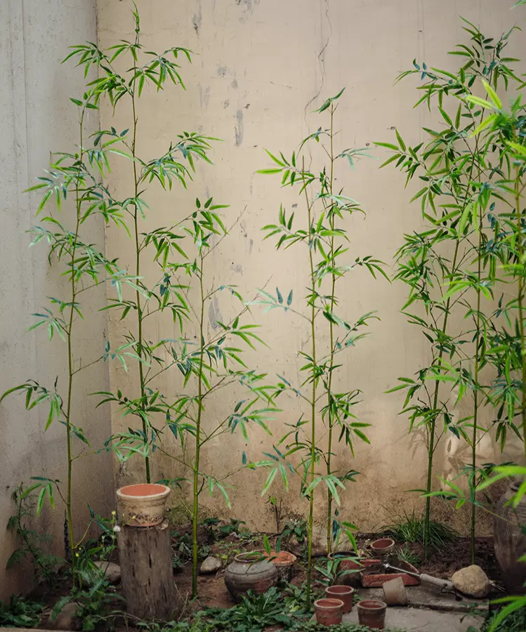 Artificial Bamboo Stem Faux Screen Plant Set of 10 by RusticReach