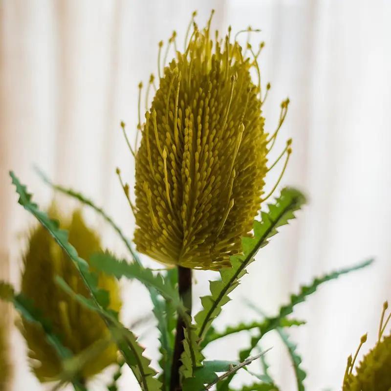 Faux Banksia Integrifolia Faux Flower 28" Tall Silk by RusticReach
