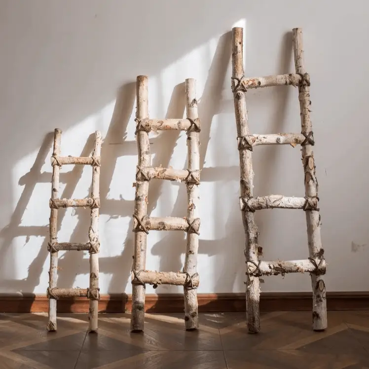 White Birch Wood Decorative Ladder by RusticReach