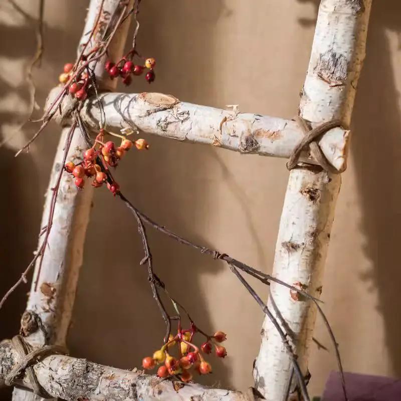 White Birch Wood Decorative Ladder by RusticReach