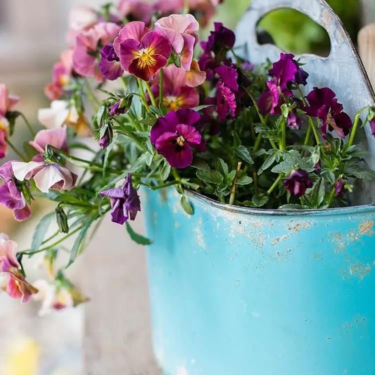 Blue Metal Basket Tool Organizer Flower Garden by RusticReach