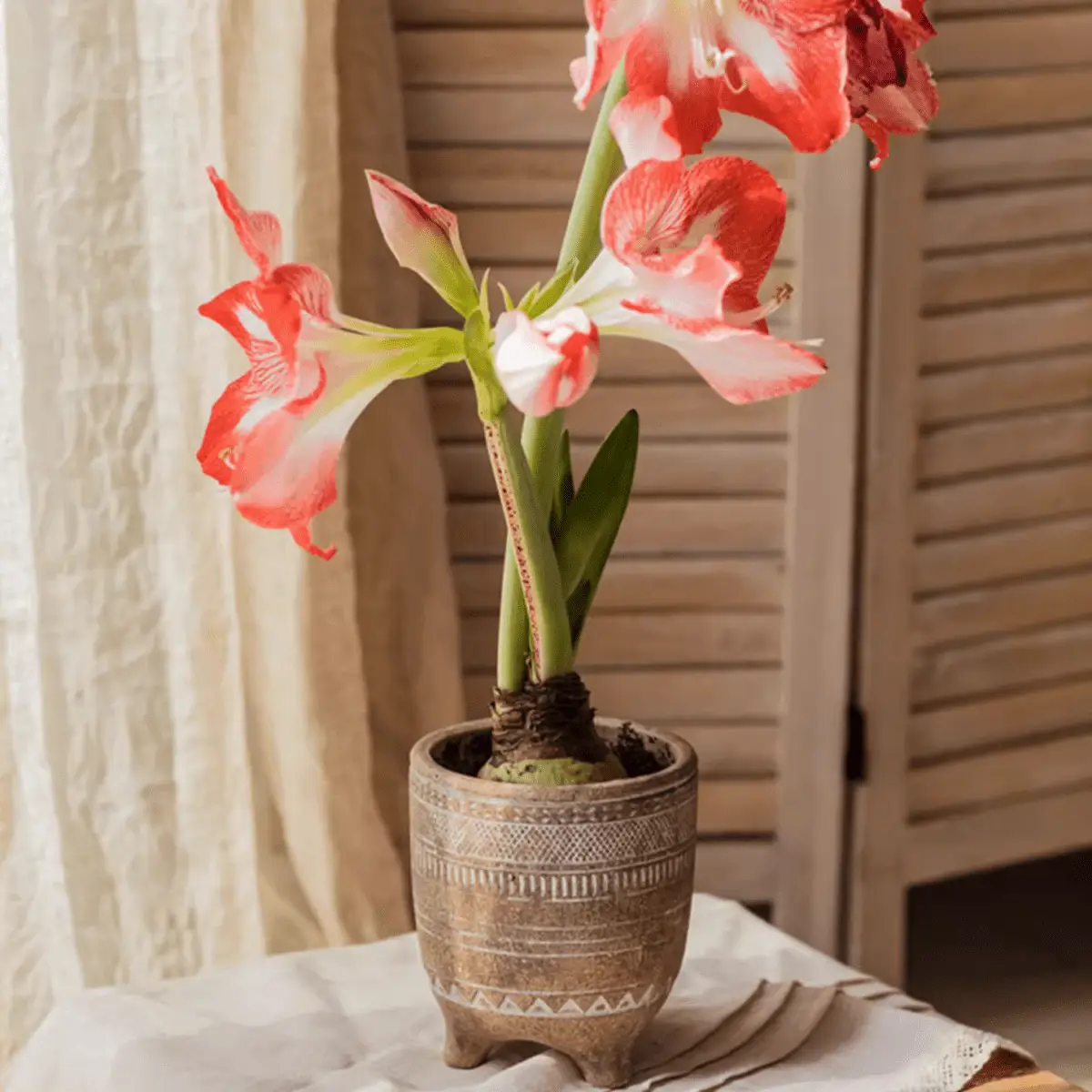 Bohemian Red Clay Planter by RusticReach