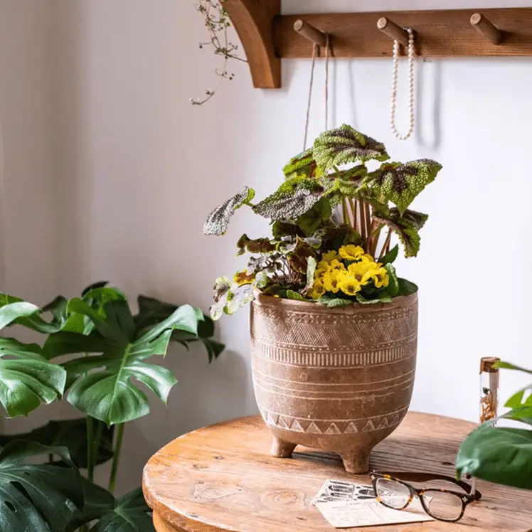 Bohemian Red Clay Planter by RusticReach