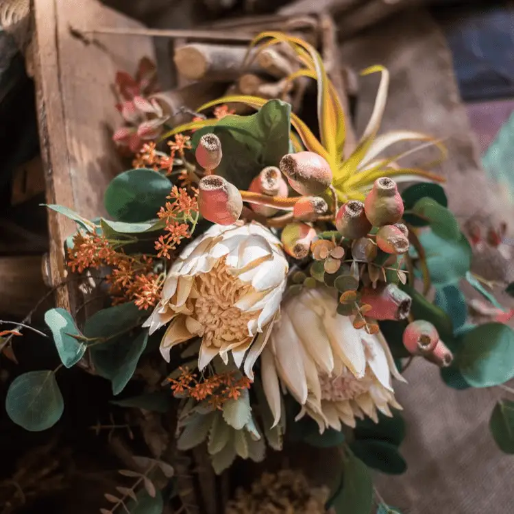 Mountian Oriole Autumn Art King Protea Bouquet by RusticReach
