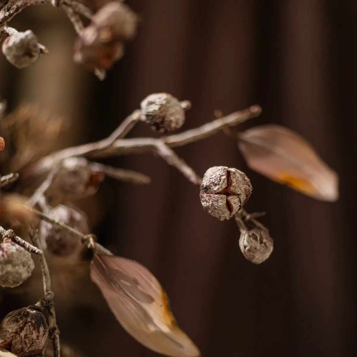 Brown Faux Pod Branch with Leaves 43" Tall by RusticReach