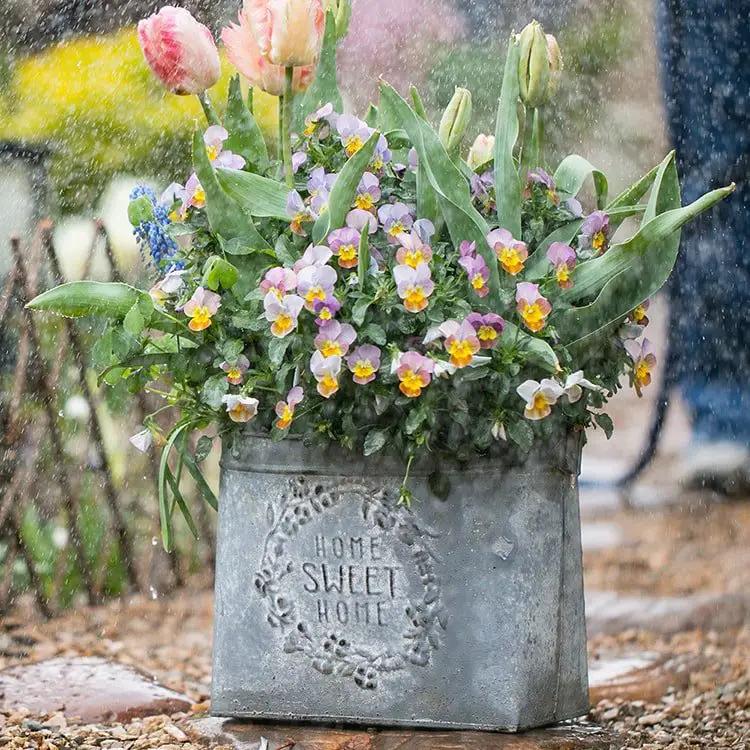 Iron Carry Flower Pot Gray Sweet Home by RusticReach