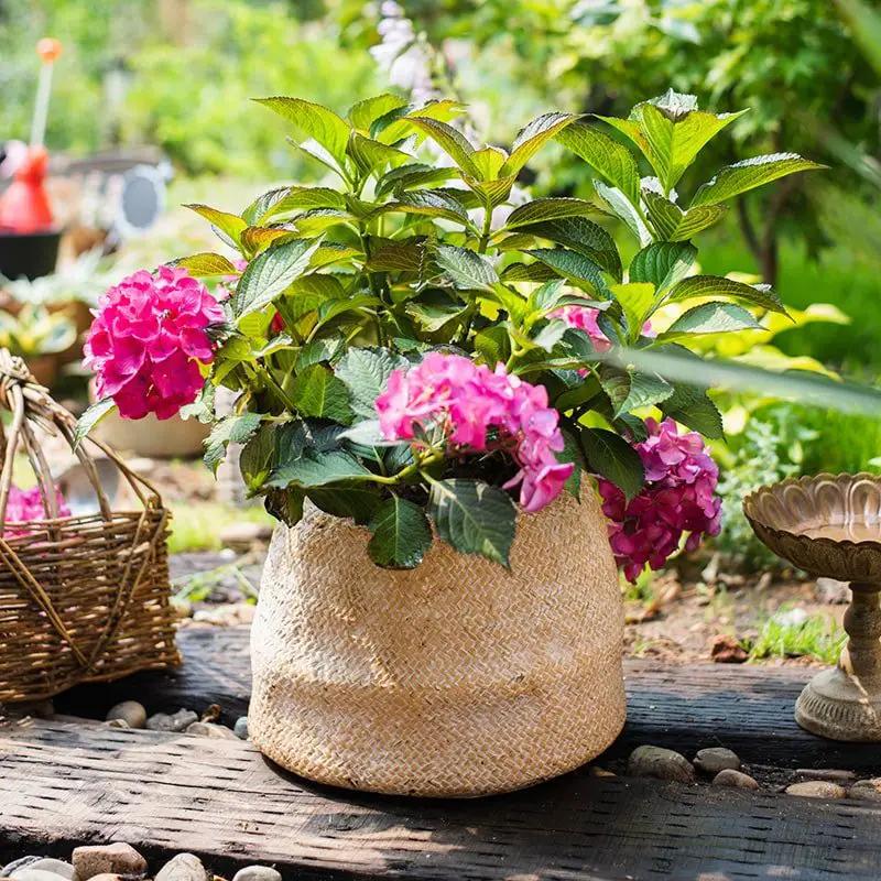 Cement Weaving Pattern Plants Container or Planter by RusticReach