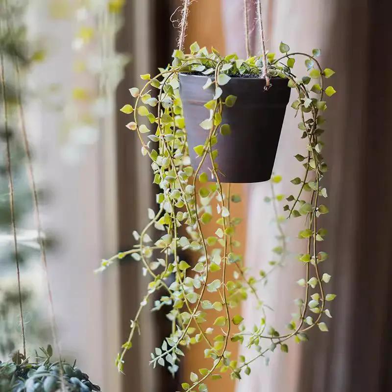 Hanging Faux Ceropegia Vine in Pot by RusticReach