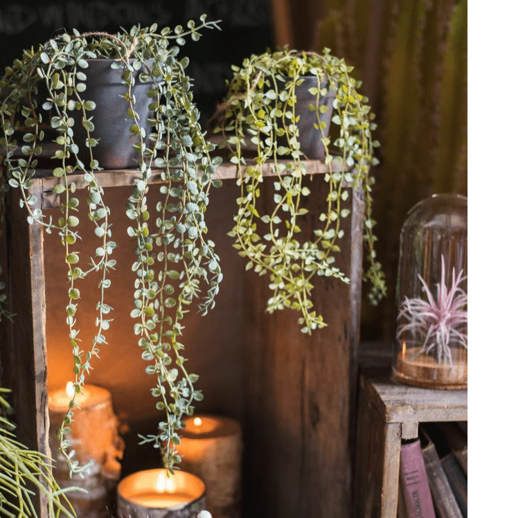 Hanging Faux Ceropegia Vine in Pot by RusticReach